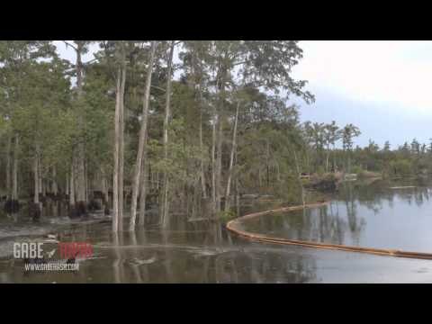 Agujero en Lousiana se traga todo