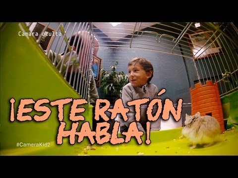 El Hormiguero: Juego de ratones