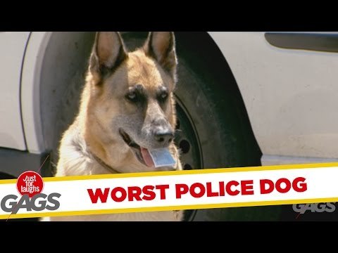 El peor perro policía