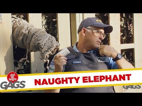 El trompa del elefante