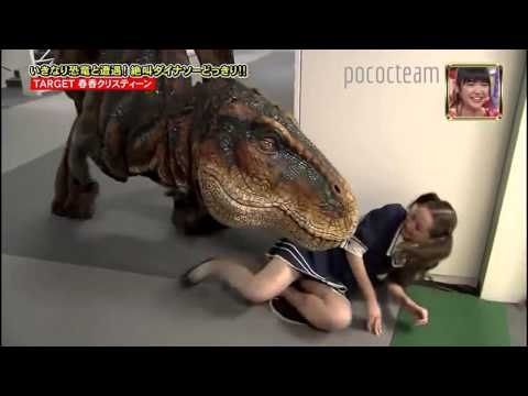 Broma Dinosaurio T-REX.
